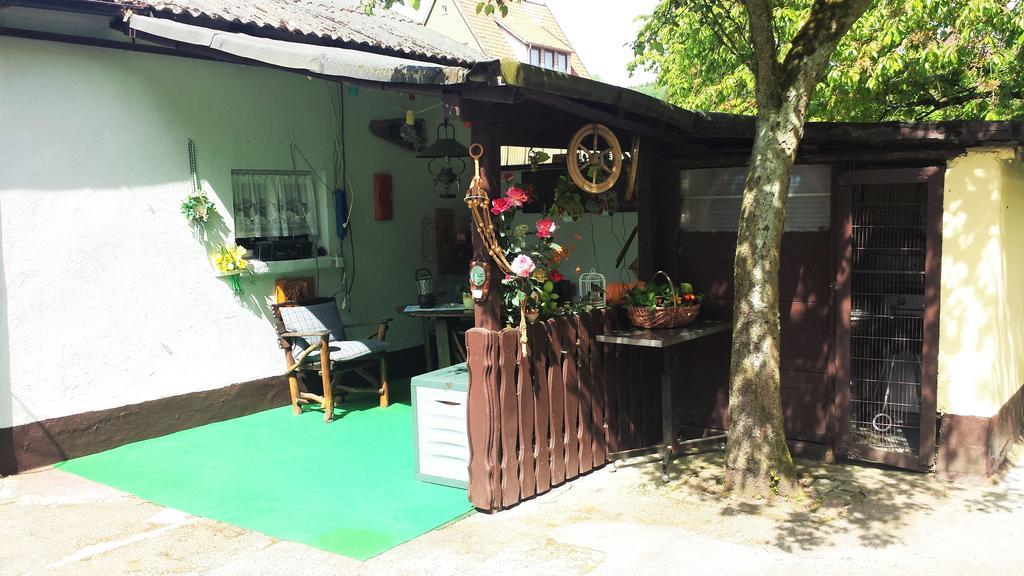 Ferienwohnung Cziesla Bad Sachsa Bagian luar foto
